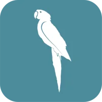 Margaritaville Belize